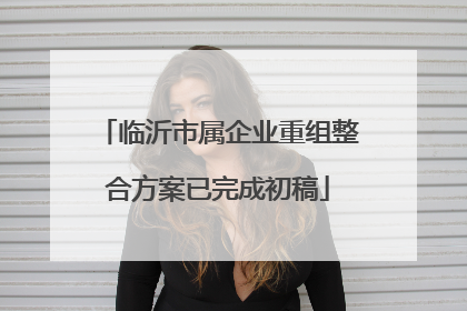 临沂市属企业重组整合方案已完成初稿
