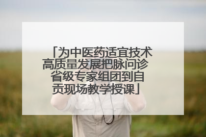 为中医药适宜技术高质量发展把脉问诊 省级专家组团到自贡现场教学授课