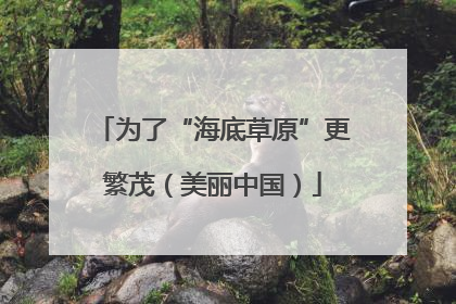 为了“海底草原”更繁茂（美丽中国）