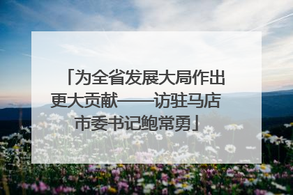 为全省发展大局作出更大贡献——访驻马店市委书记鲍常勇