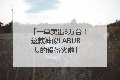 一单卖出3万台！这款神似LABUBU的设备火啦