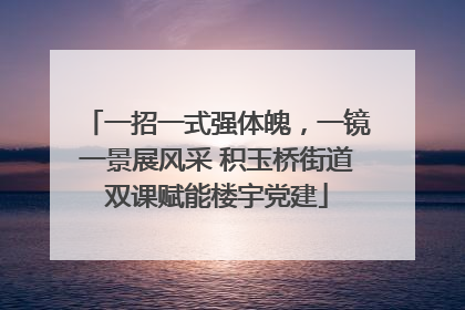 一招一式强体魄，一镜一景展风采 积玉桥街道双课赋能楼宇党建