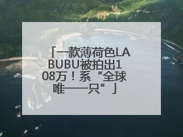一款薄荷色LABUBU被拍出108万！系“全球唯一一只”