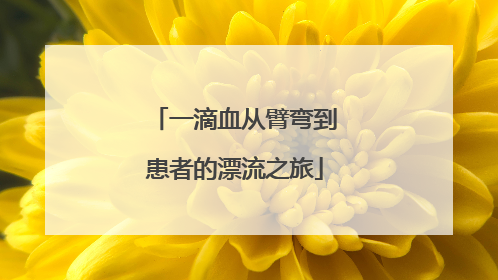 一滴血从臂弯到患者的漂流之旅