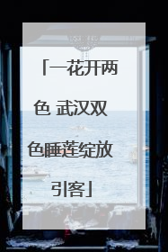 一花开两色 武汉双色睡莲绽放引客