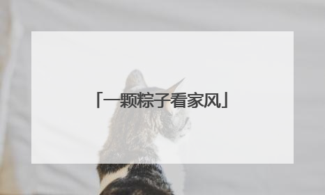 一颗粽子看家风