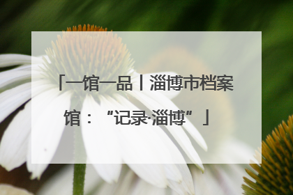一馆一品丨淄博市档案馆：“记录·淄博”