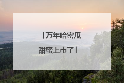 万年哈密瓜甜蜜上市了
