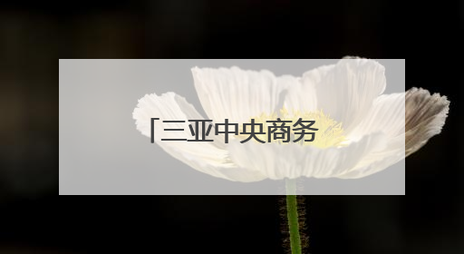 三亚中央商务区党建品牌创建工作正式启动
