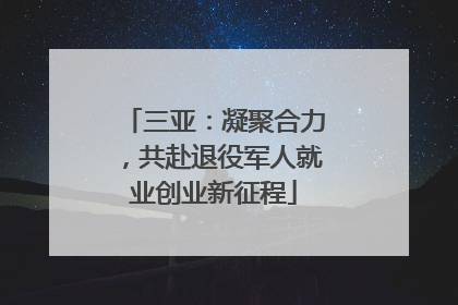 三亚：凝聚合力，共赴退役军人就业创业新征程