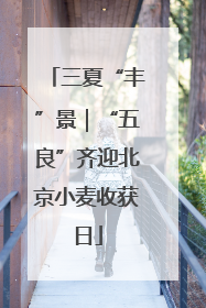 三夏“丰”景｜“五良”齐迎北京小麦收获日