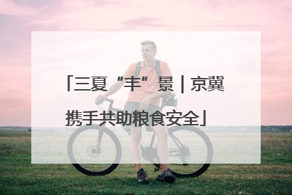 三夏“丰”景｜京冀携手共助粮食安全
