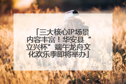 三大核心IP场景内容丰富！华安县“立兴杯”端午龙舟文化欢乐季即将举办