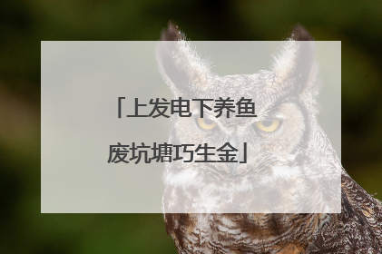 上发电下养鱼 废坑塘巧生金