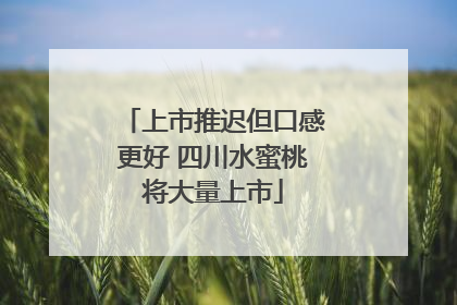 上市推迟但口感更好 四川水蜜桃将大量上市