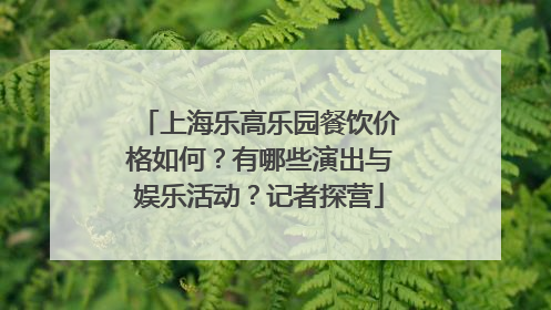 上海乐高乐园餐饮价格如何？有哪些演出与娱乐活动？记者探营