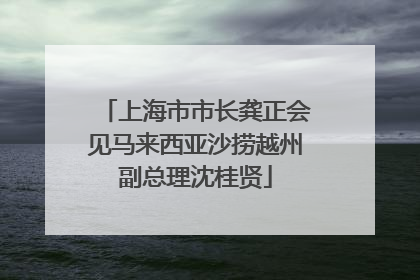 上海市市长龚正会见马来西亚沙捞越州副总理沈桂贤