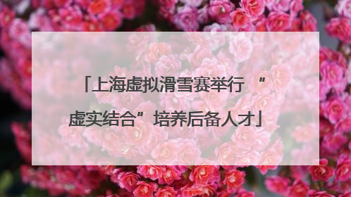 上海虚拟滑雪赛举行 “虚实结合”培养后备人才