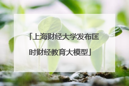 上海财经大学发布匡时财经教育大模型