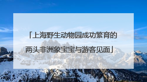 上海野生动物园成功繁育的两头非洲象宝宝与游客见面