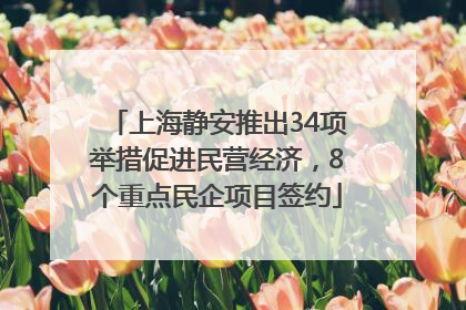 上海静安推出34项举措促进民营经济，8个重点民企项目签约