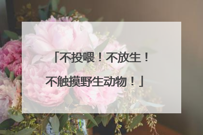 不投喂！不放生！不触摸野生动物！