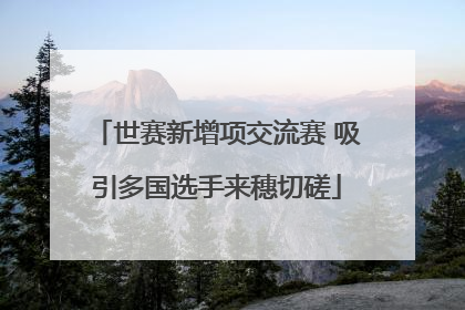 世赛新增项交流赛 吸引多国选手来穗切磋