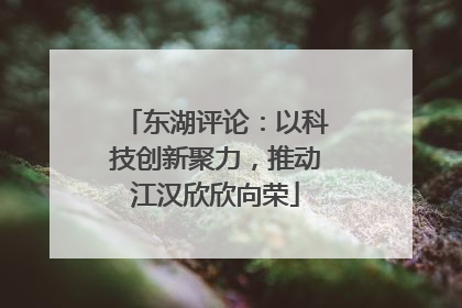 东湖评论：以科技创新聚力，推动江汉欣欣向荣