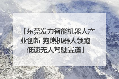 东莞发力智能机器人产业创新 狗熊机器人领跑低速无人驾驶赛道