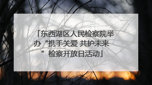 东西湖区人民检察院举办“携手关爱 共护未来”检察开放日活动