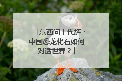 东西问丨代辉：中国恐龙化石如何对话世界？
