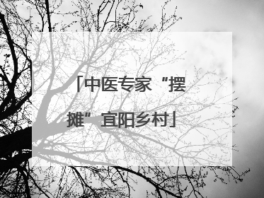 中医专家“摆摊”宜阳乡村