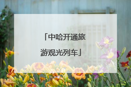 中哈开通旅游观光列车