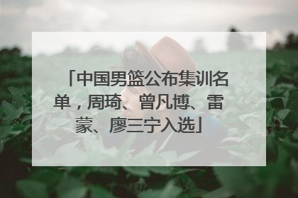 中国男篮公布集训名单，周琦、曾凡博、雷蒙、廖三宁入选