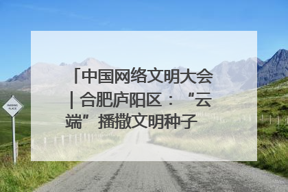 中国网络文明大会｜合肥庐阳区：“云端”播撒文明种子 共建清朗网络空间