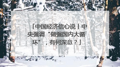 中国经济信心说丨中央强调“做强国内大循环”，有何深意？
