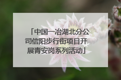 中国一冶湖北分公司信阳步行街项目开展青安岗系列活动