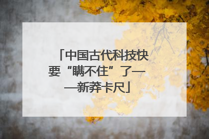中国古代科技快要“瞒不住”了——新莽卡尺