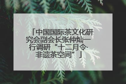 中国国际茶文化研究会副会长张仲灿一行调研“十二月令·非遗茶空间”