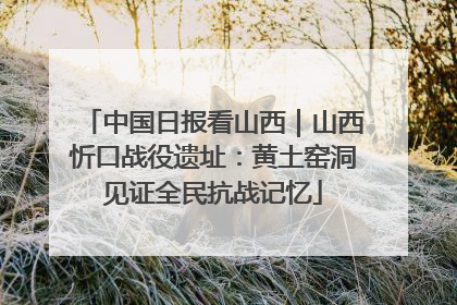 中国日报看山西｜山西忻口战役遗址：黄土窑洞见证全民抗战记忆