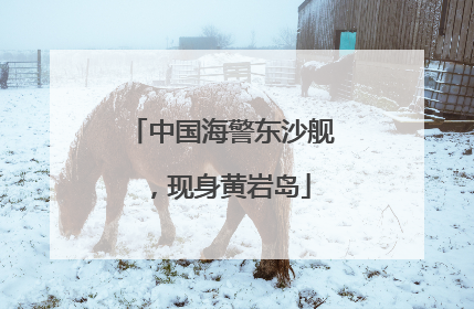 中国海警东沙舰，现身黄岩岛