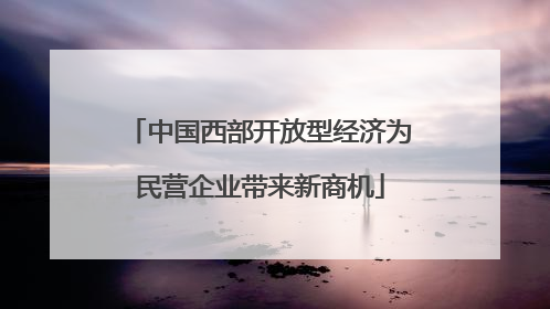中国西部开放型经济为民营企业带来新商机