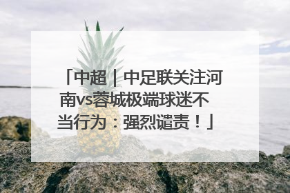 中超｜中足联关注河南vs蓉城极端球迷不当行为：强烈谴责！