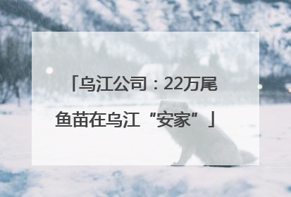 乌江公司：22万尾鱼苗在乌江“安家”