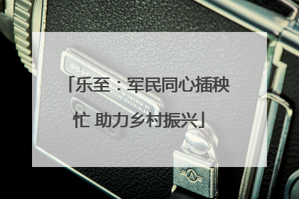 乐至：军民同心插秧忙 助力乡村振兴