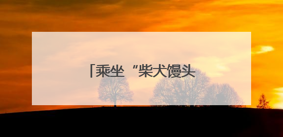 乘坐“柴犬馒头号”抵达治愈，带上宠物去逛个展