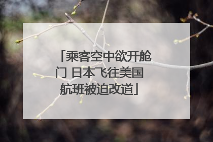 乘客空中欲开舱门 日本飞往美国航班被迫改道