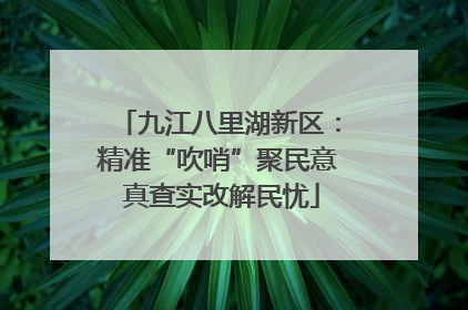 九江八里湖新区：精准“吹哨”聚民意 真查实改解民忧