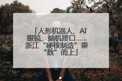 人形机器人、AI眼镜、脑机接口……浙江“硬核制造”乘“数”而上