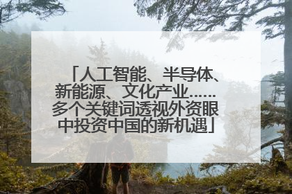 人工智能、半导体、新能源、文化产业……多个关键词透视外资眼中投资中国的新机遇